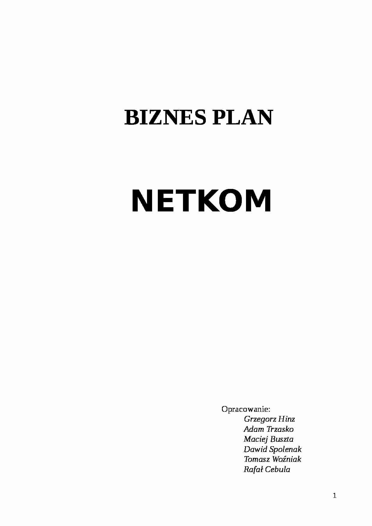 Biznes plan informatycznej firmy - strona 1