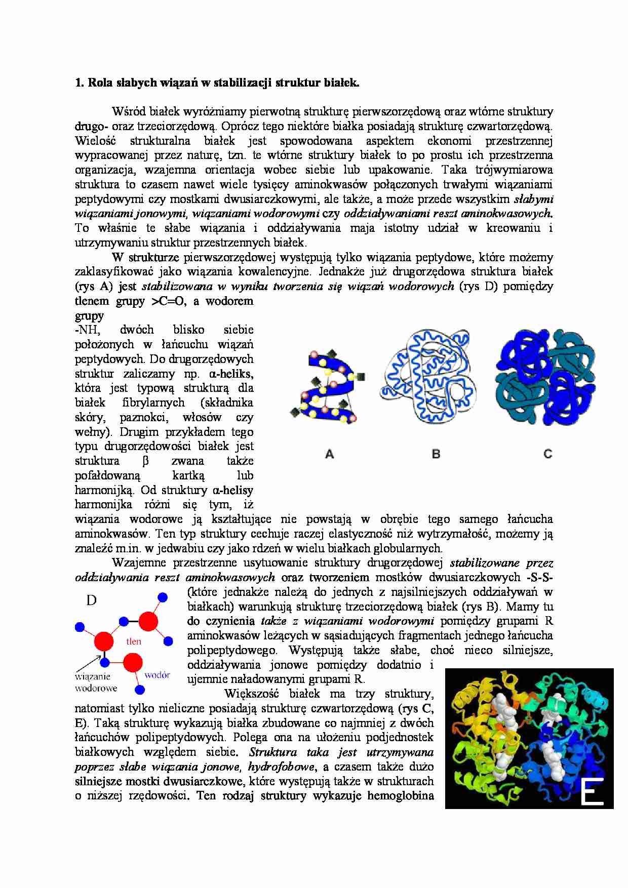Słabe wiązania w stabilizacji struktur białek - strona 1
