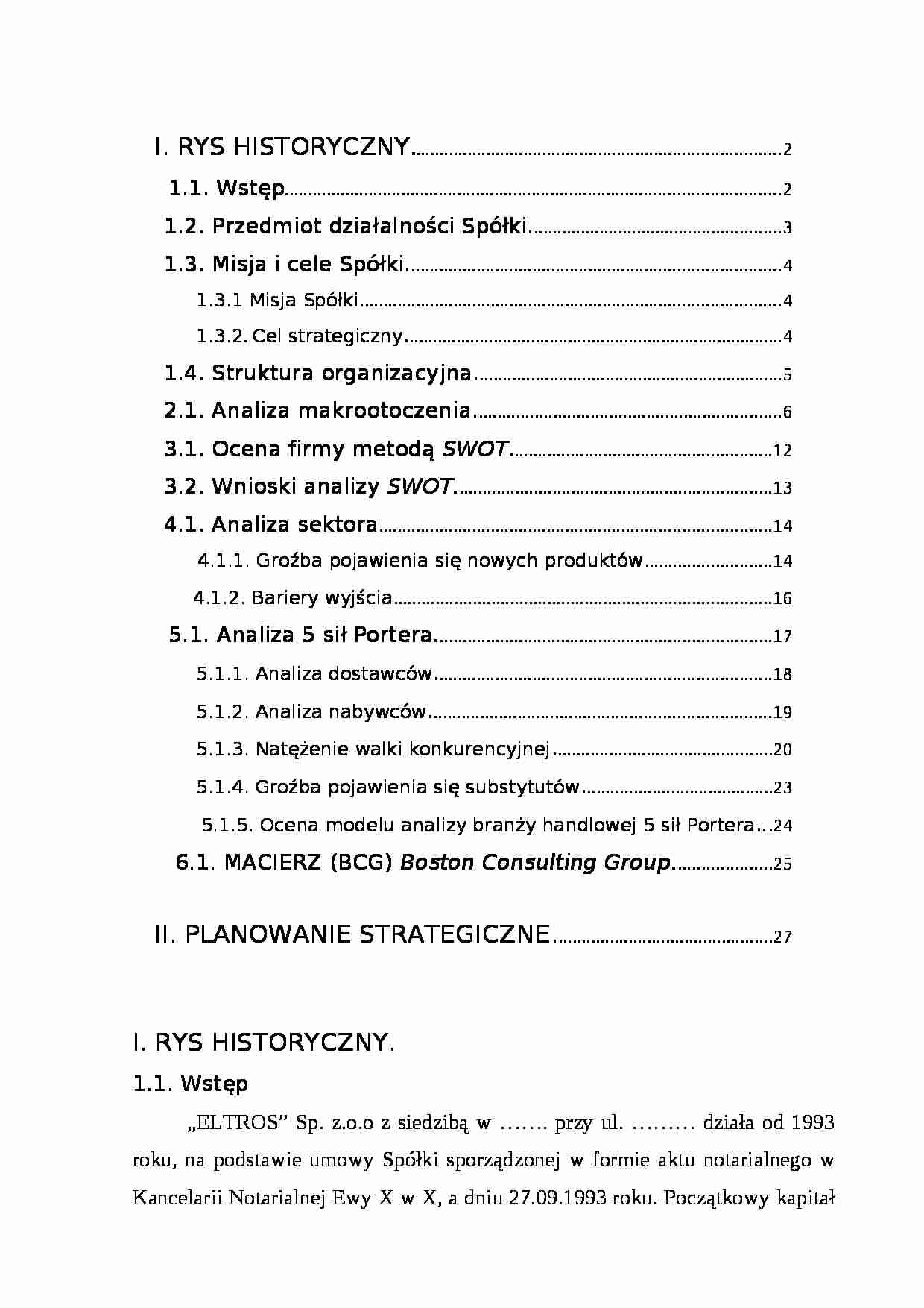 Analiza strategiczna - spółka wielobranżowa - strona 1