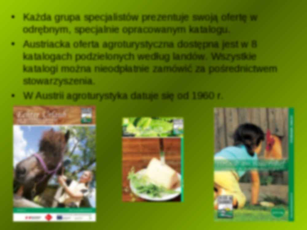 Prezentacja - Agroturystyka w Austrii - strona 3