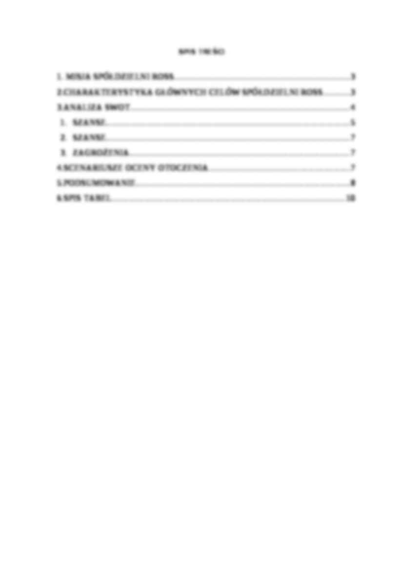 Analiza stategiczna spółdzielni - Analiza strategiczna - strona 2