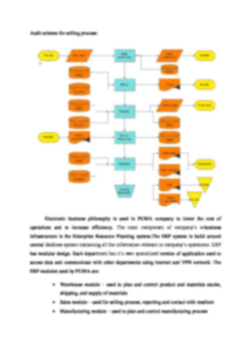  Basic business processes in PUMA company - strona 2