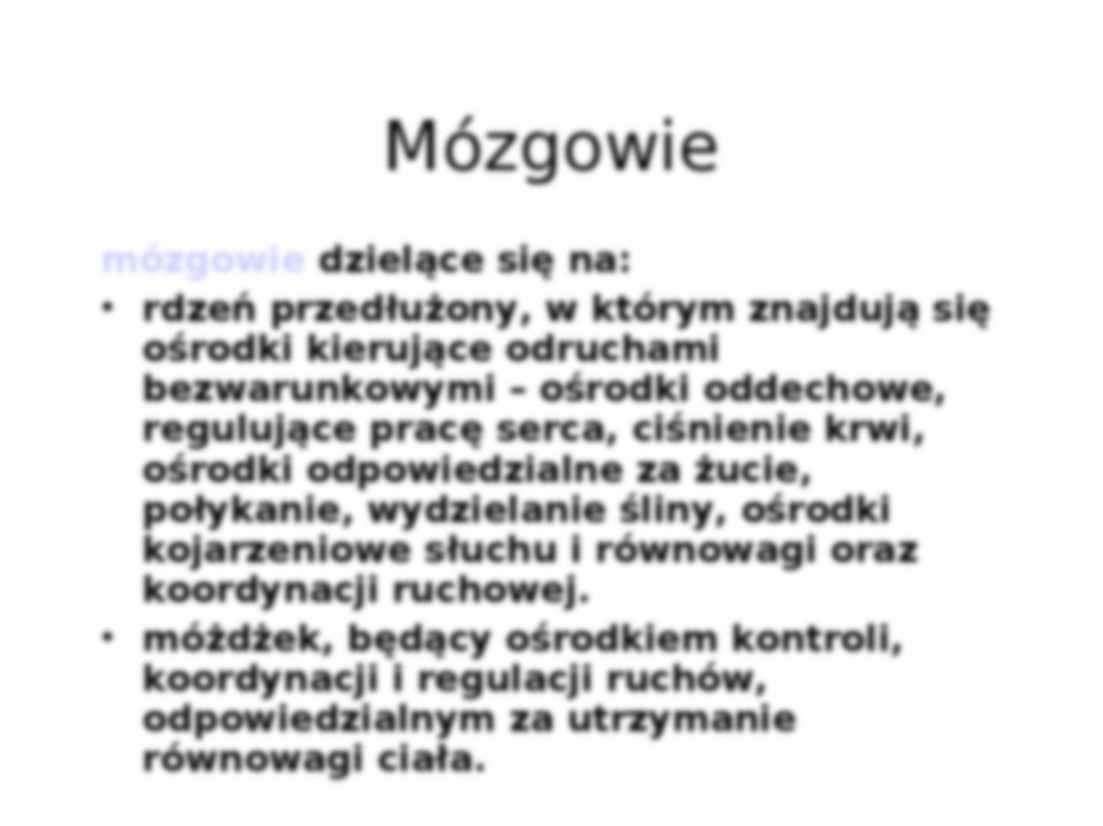 Rola Centralnego Układu Nerwowego i Istota Pracy Umysłowej - strona 3