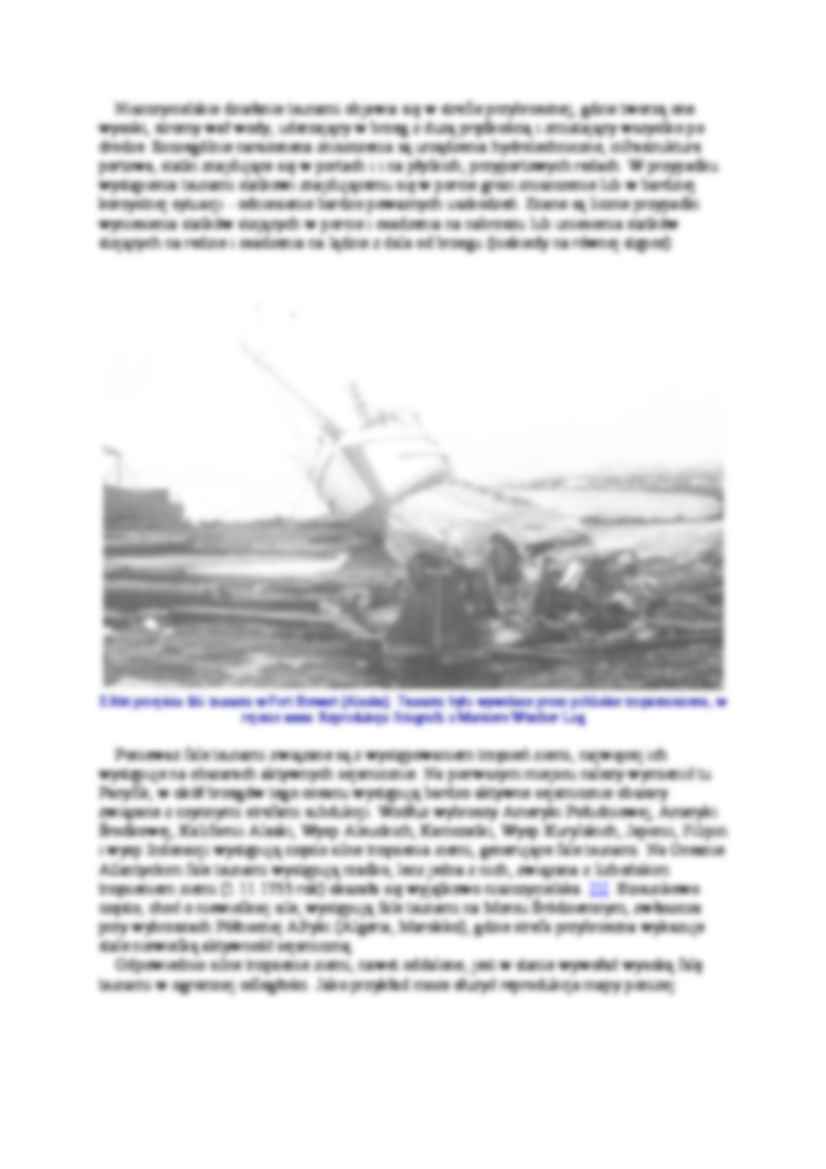 Eksploatacja portów - Fale tsunami - strona 2