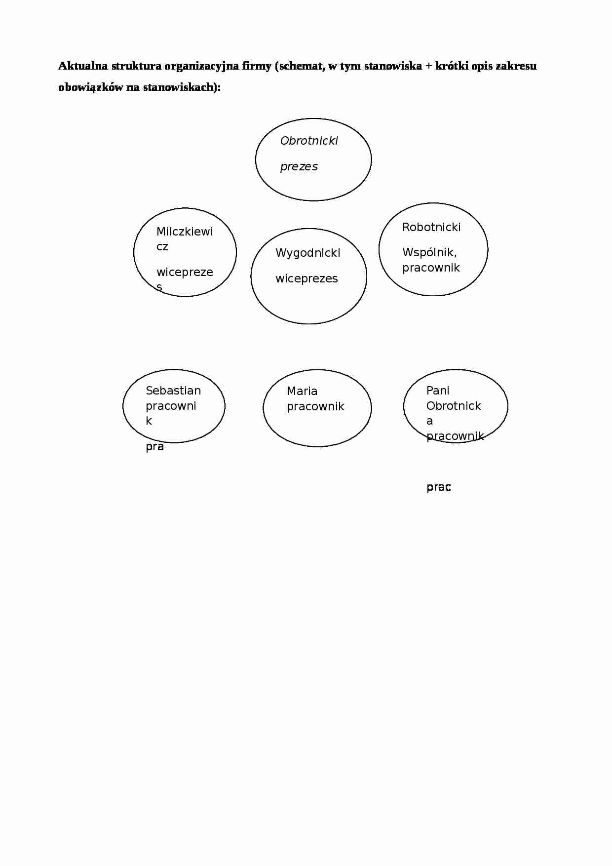 Formatka do case'a Elektronik- Aktualna struktura organizacyjna firmy - strona 1