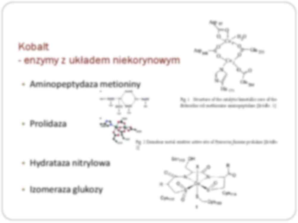 Metabolizm i toksycznośc kobaltu - strona 3