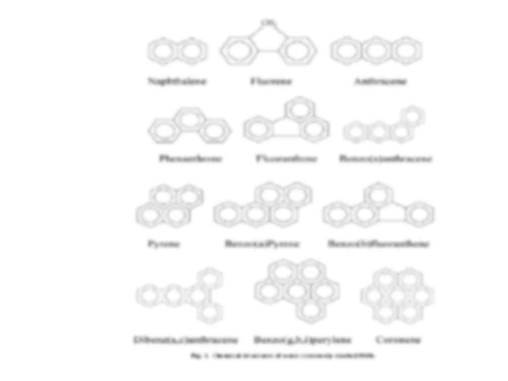 Biodegradacja wielopierścieniowych węglowodorów aromatycznych - strona 3