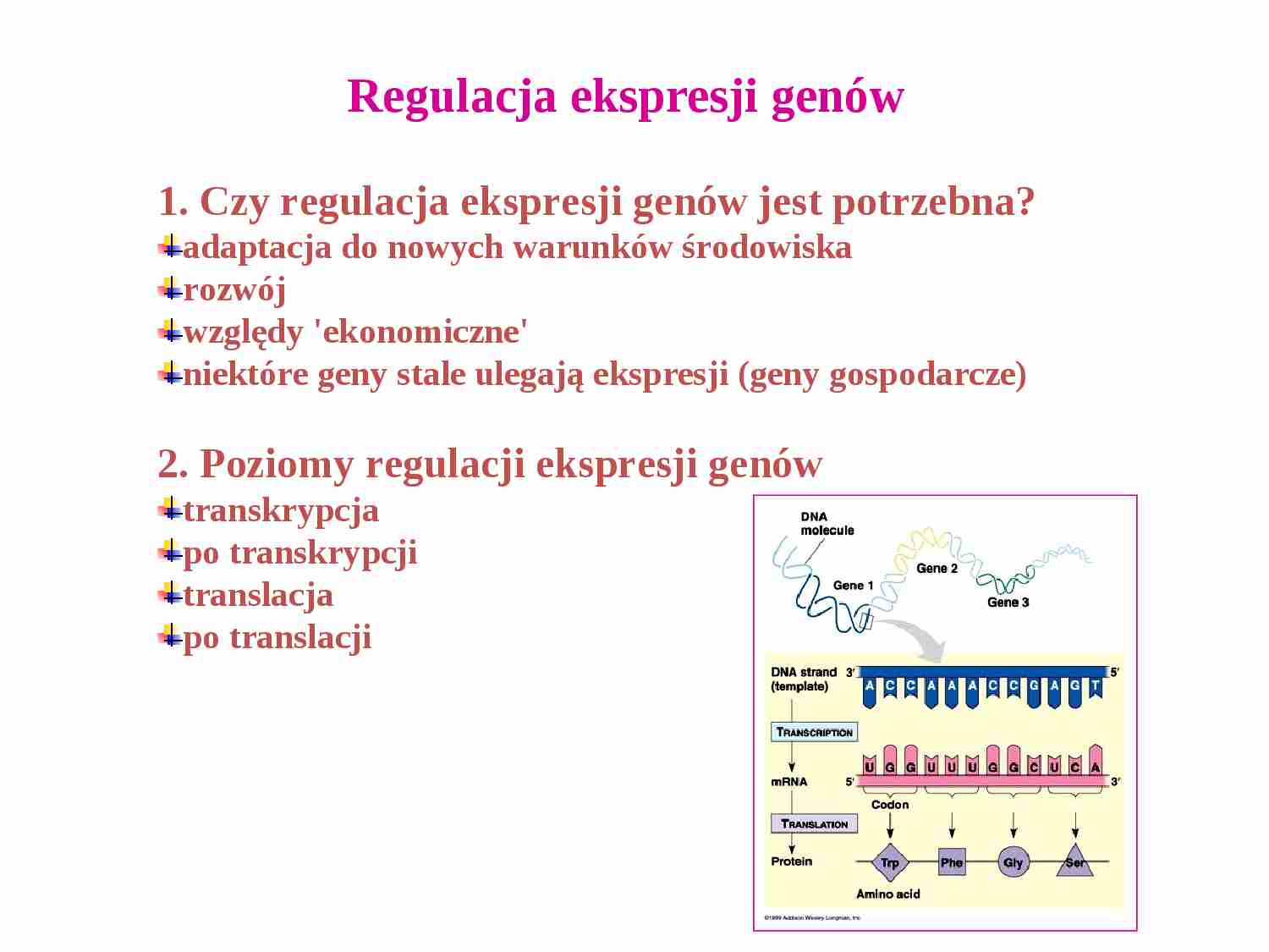 Regulacja ekspresji genów - strona 1