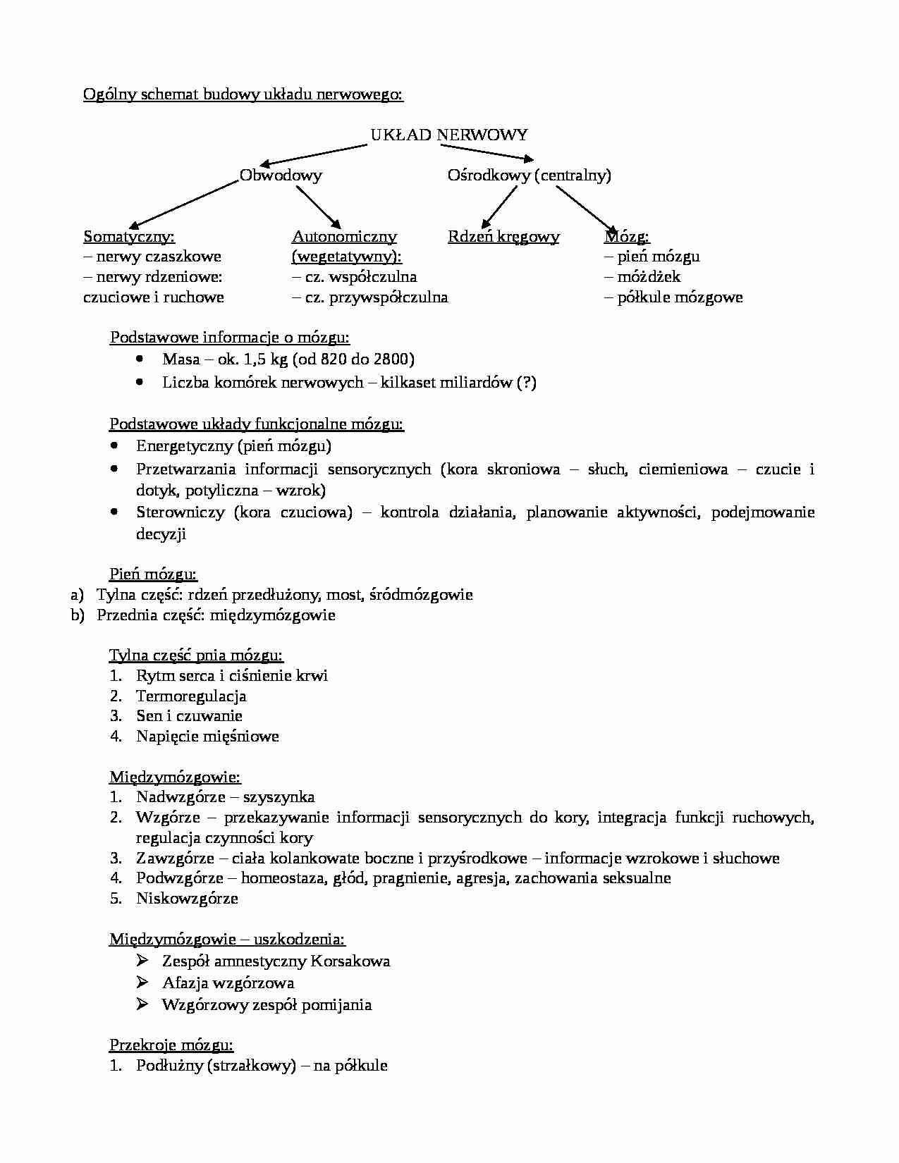 Ogólny schemat budowy układu nerwowego - strona 1