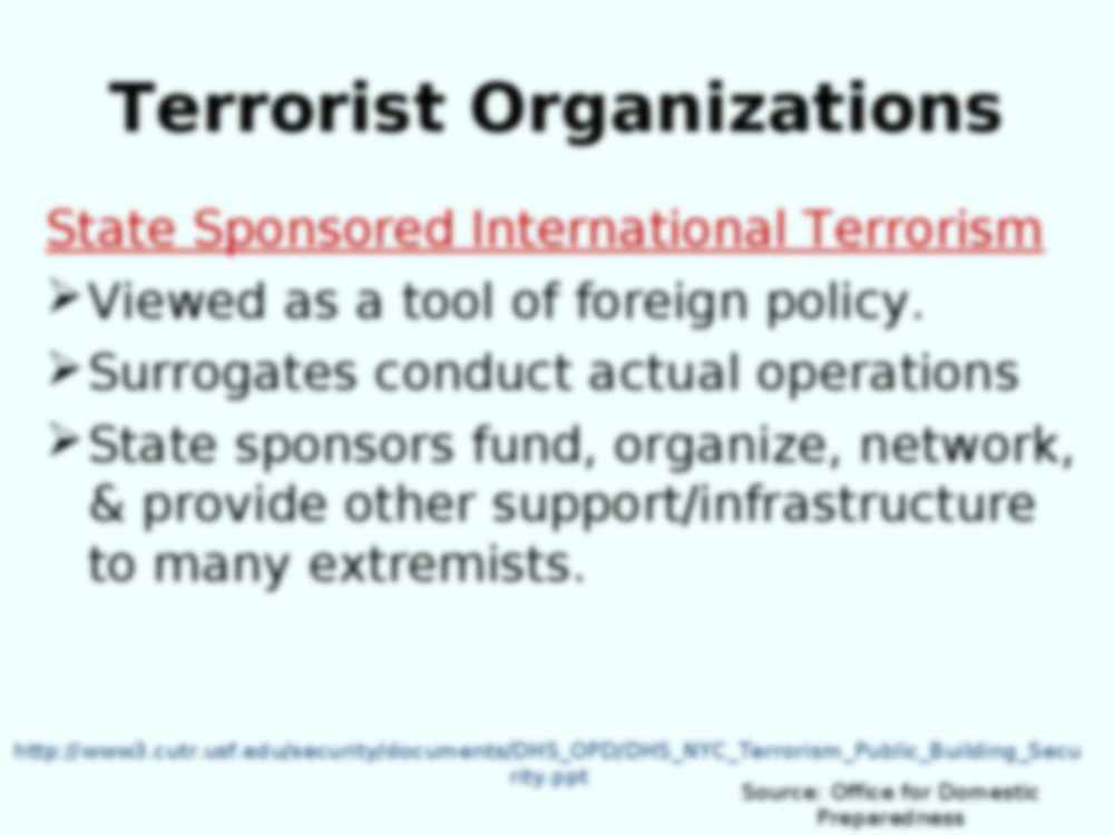 Organizacje terrorystyczne - prezentacja - strona 3