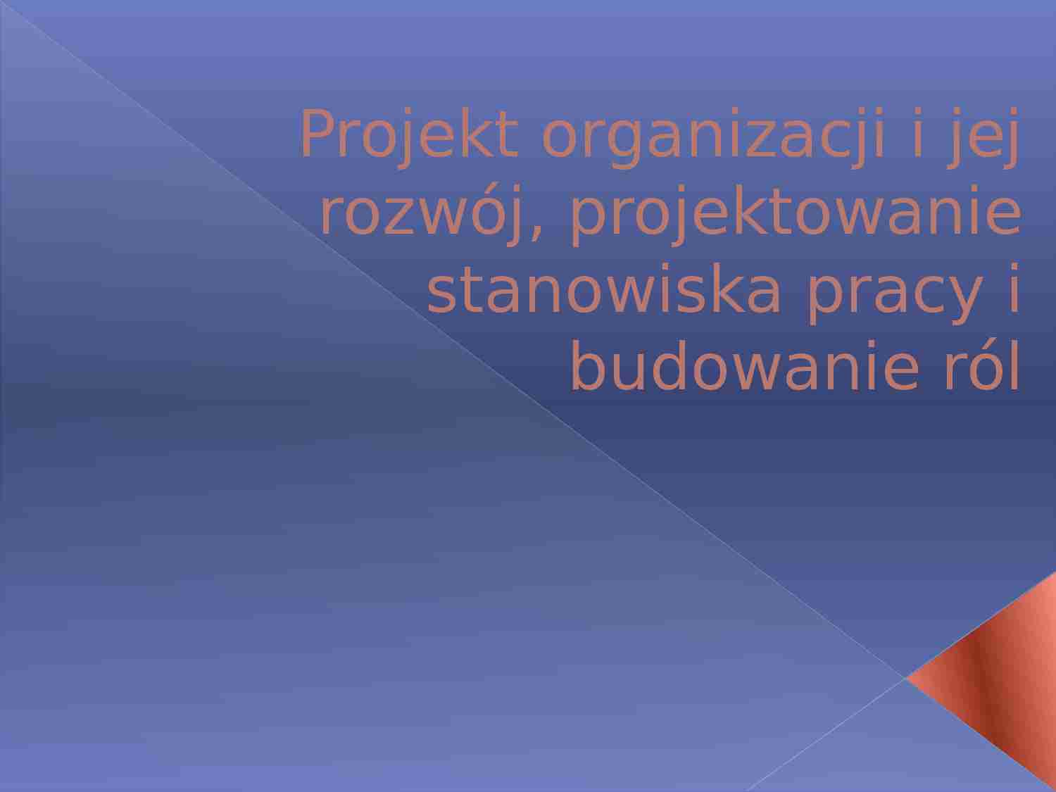 Projekt organizacji i jej rozwój, projektowanie stanowiska - strona 1