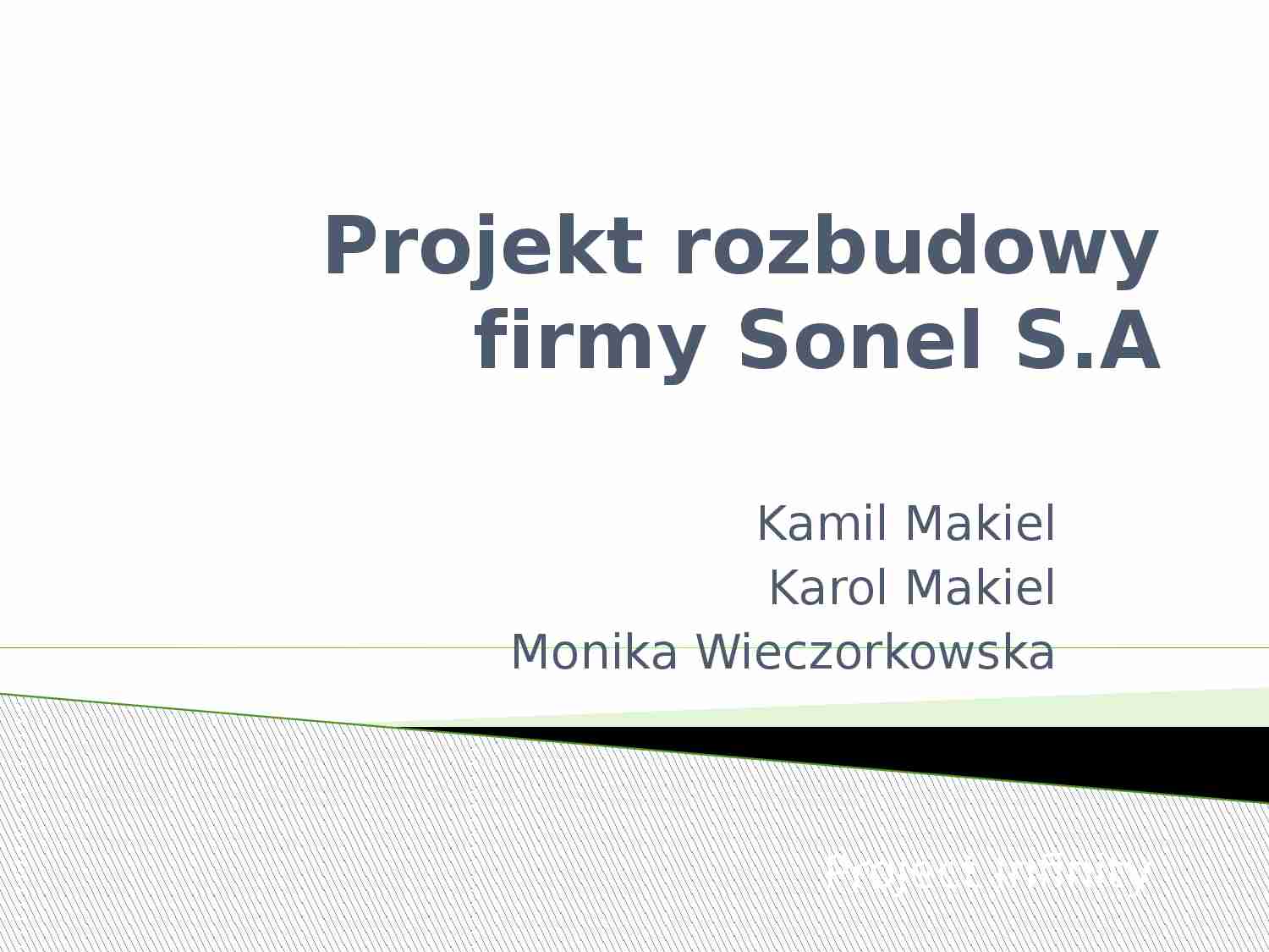 Projekt rozbudowy firmy Sonel S.A - strona 1