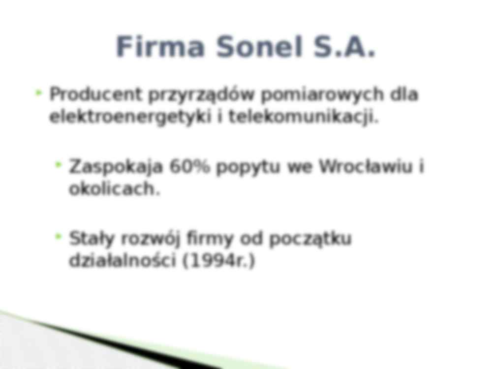 Projekt rozbudowy firmy Sonel S.A - strona 2