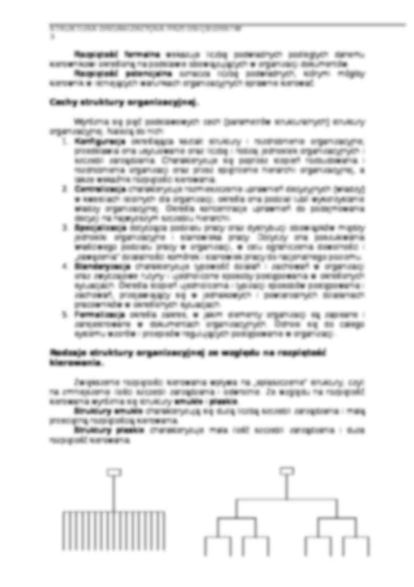 Struktura organizacyjna przedsiębiorstw - strona 3