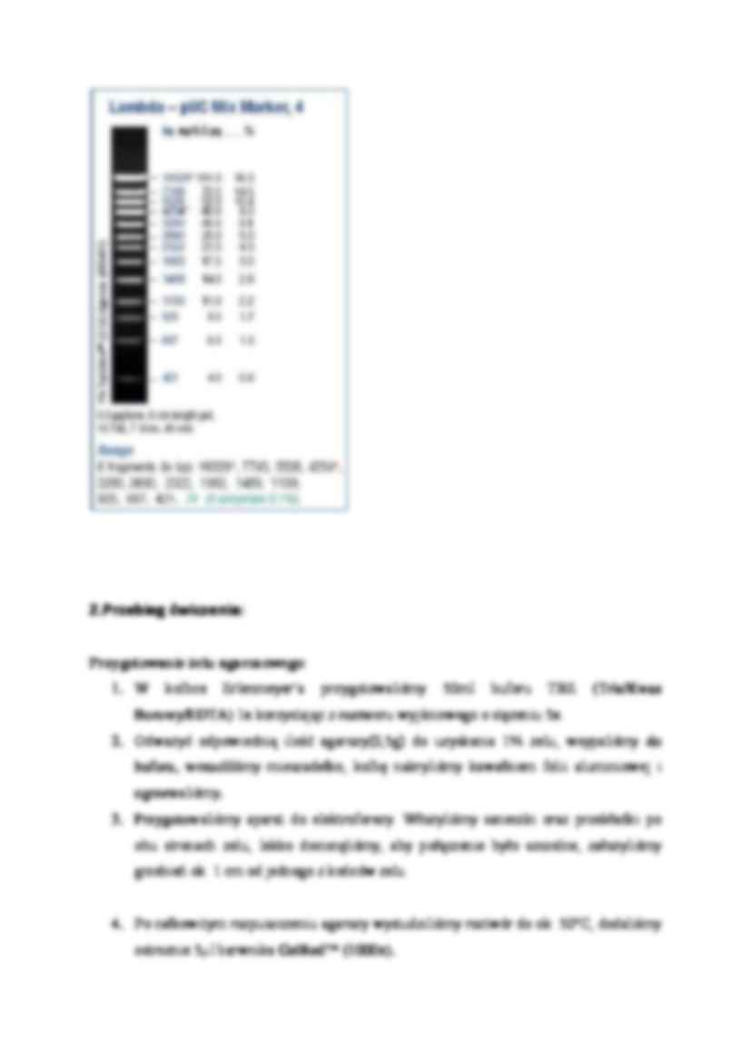 Elektroforeza agarozowa plazmidowego DNA - wykład - strona 2