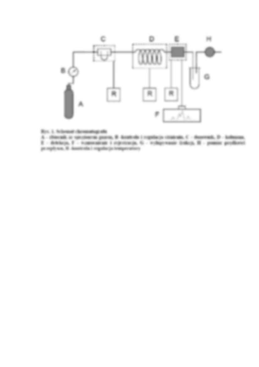 Chromatografia gazowa - wykład - strona 2