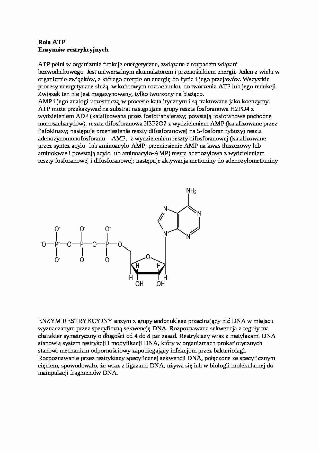 Wykład - rola ATP i enzymów restrykcyjnych, sem III - strona 1