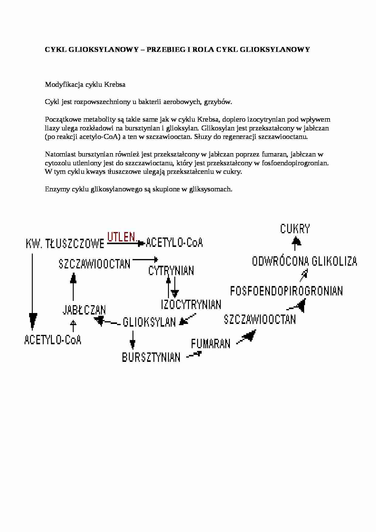 Wykład - cykl glioksylanowy, sem III - strona 1
