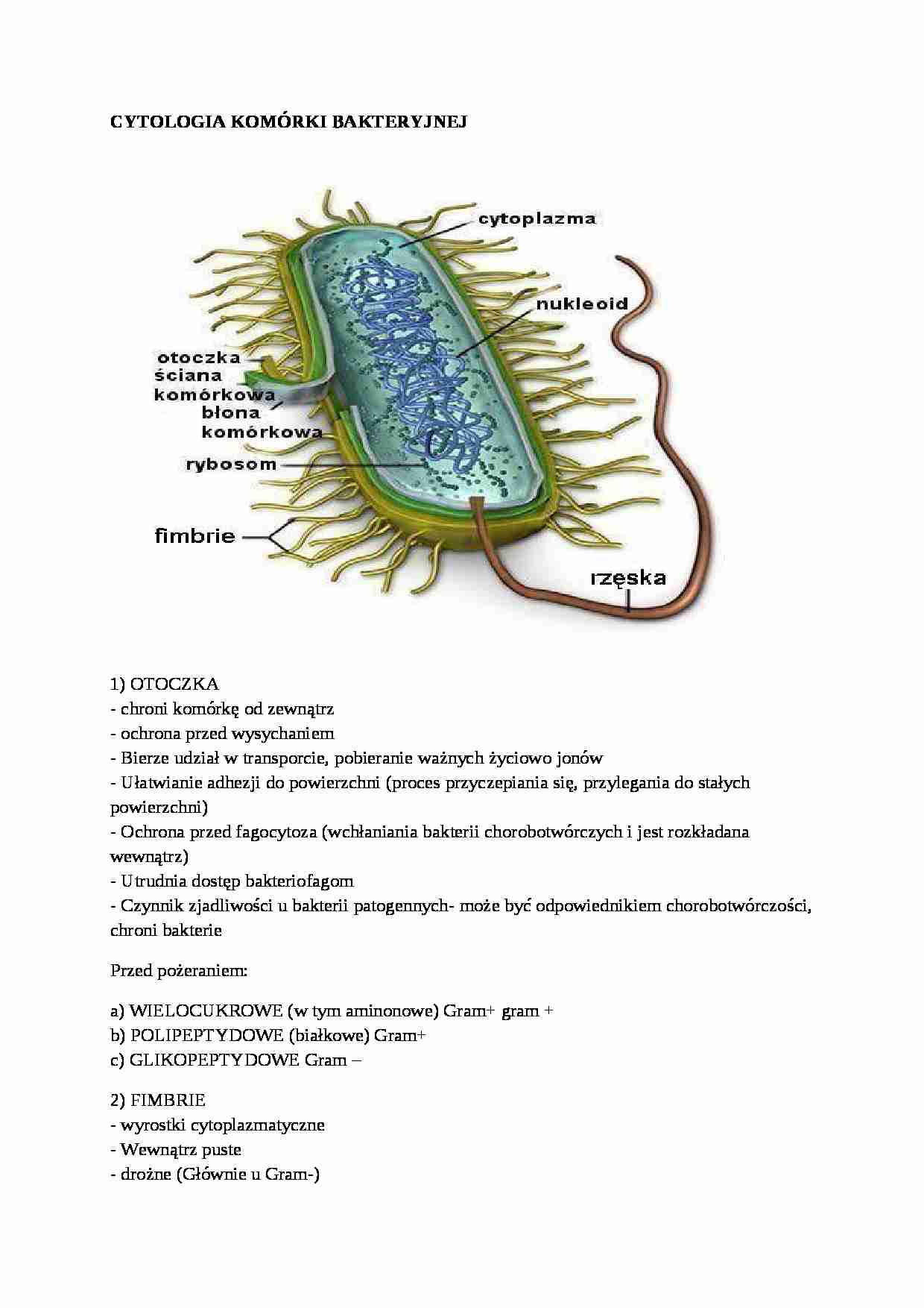 Wykład - cytologia komórki bakteryjnej - strona 1