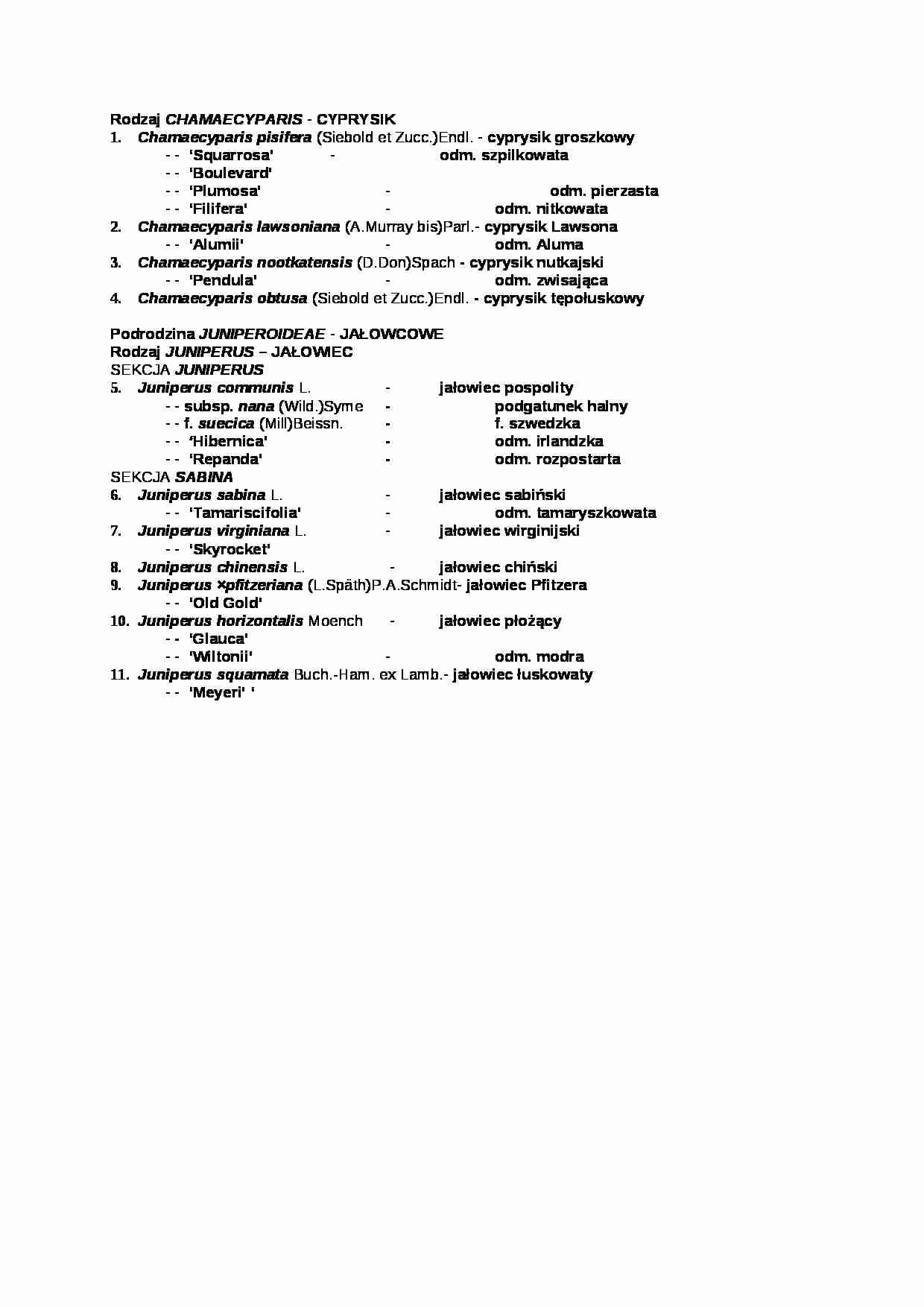 Rodzaj chamaecyparis - wykład - strona 1