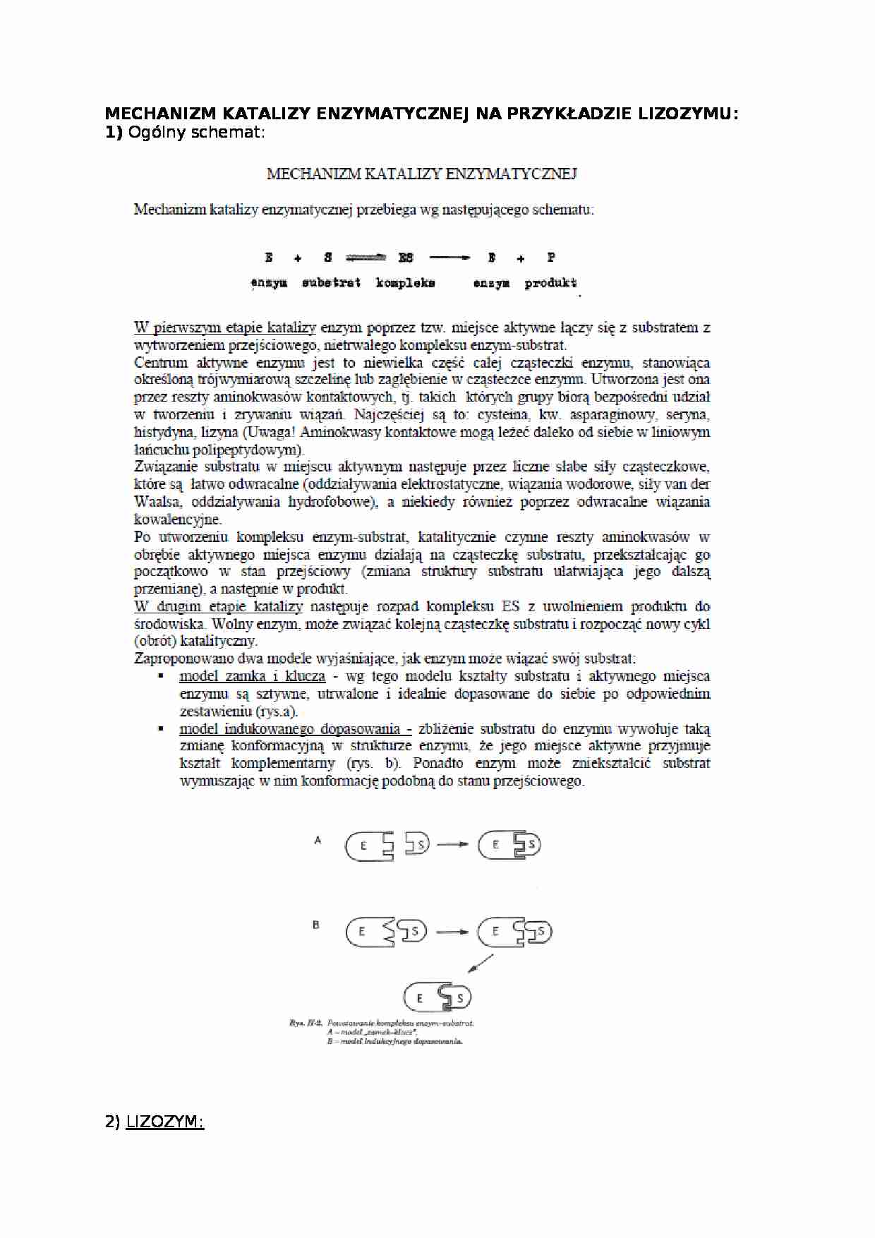 Mechanizm katalizy enzymatycznej - wykład - strona 1