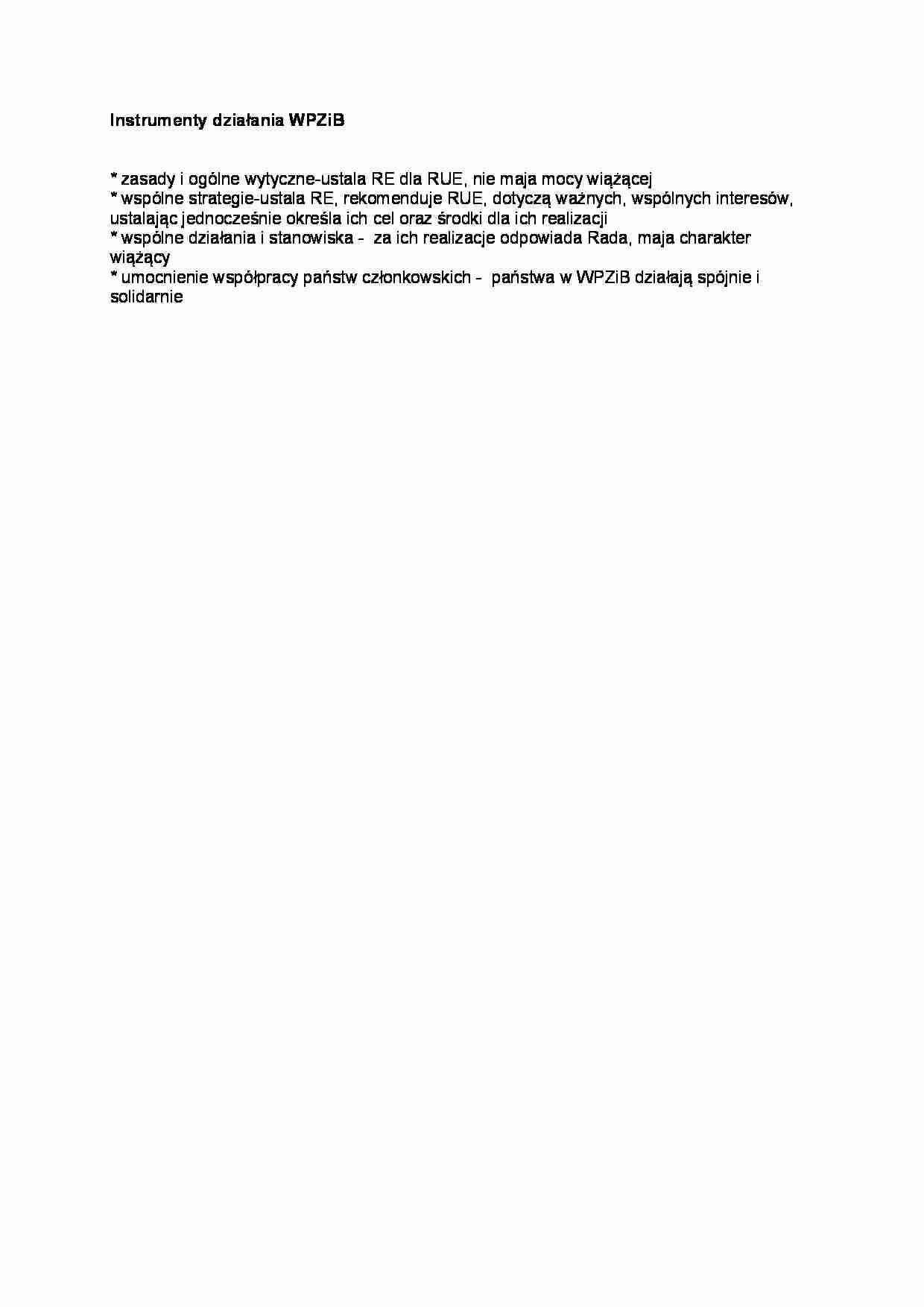 Instrumenty działania WPZiB-opracowanie - strona 1