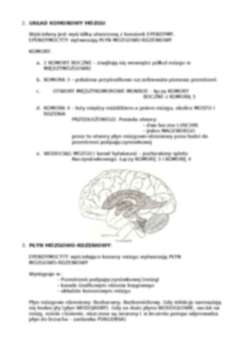 Neuropsychologia-skrypt - strona 2
