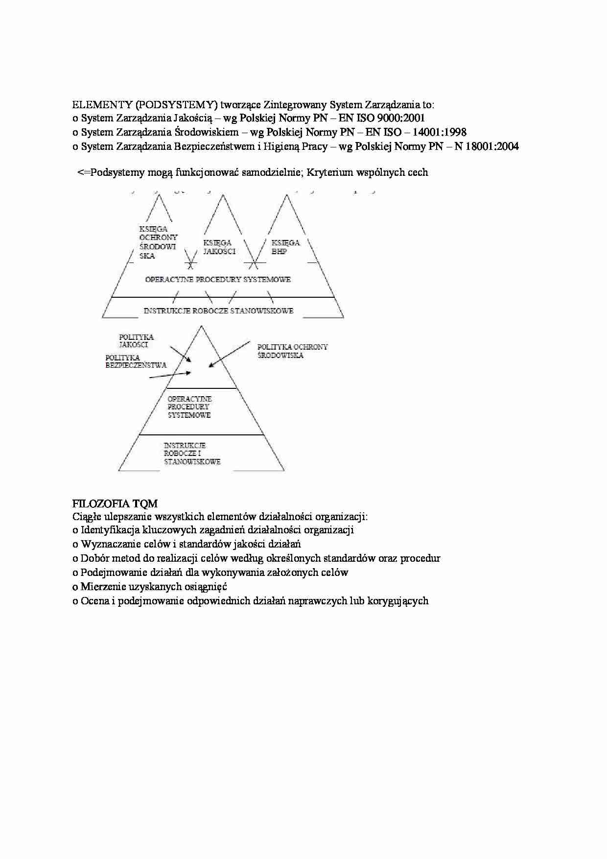 Zintegrowany system zarządzania- opracowanie - strona 1