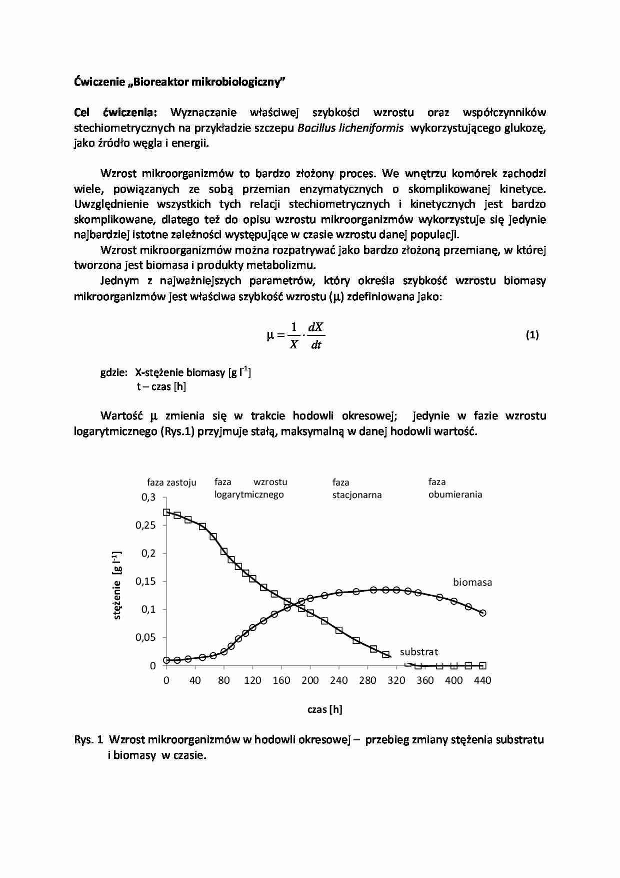 Bioreaktor mikrobiologiczny- sprawozdanie - strona 1