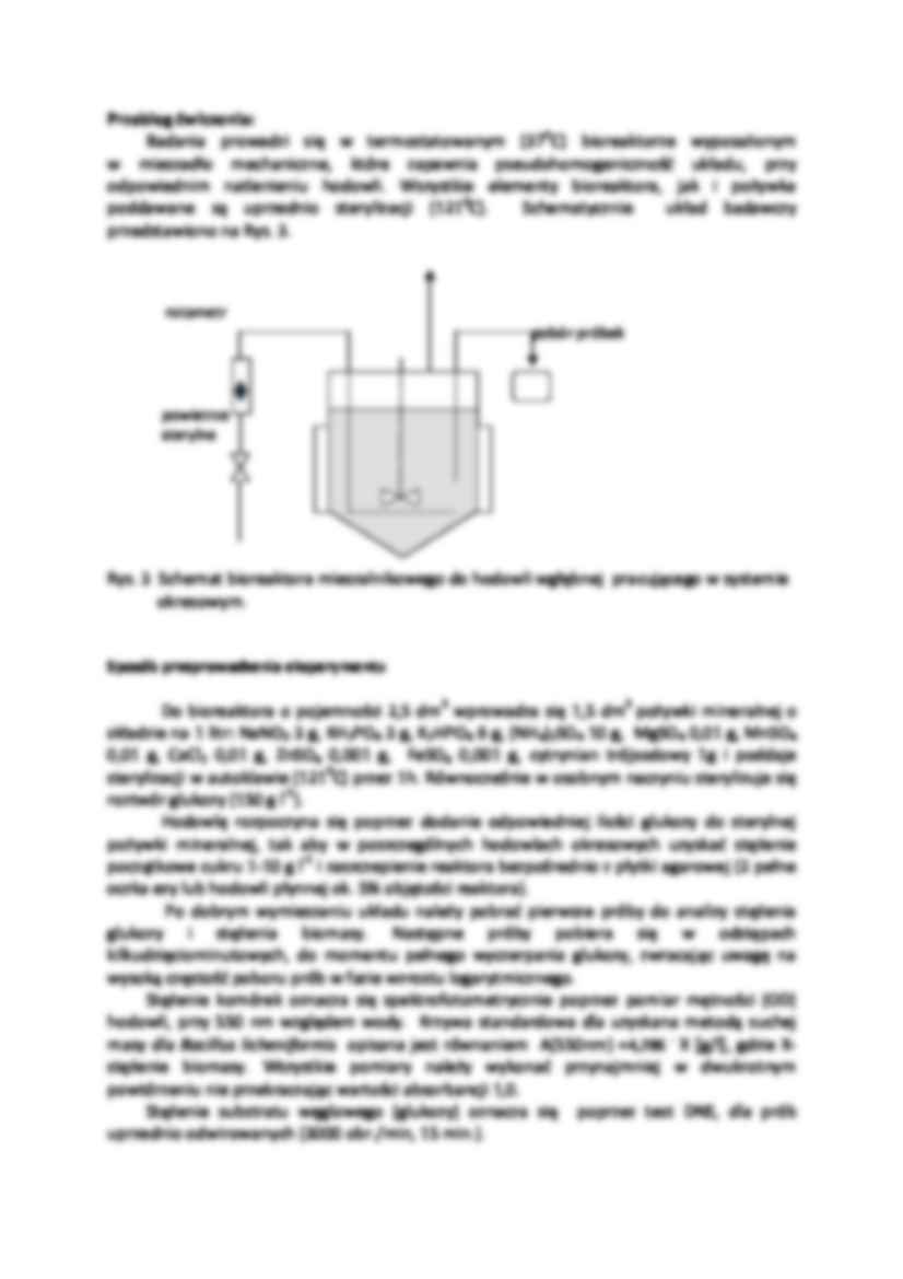 Bioreaktor mikrobiologiczny- sprawozdanie - strona 3