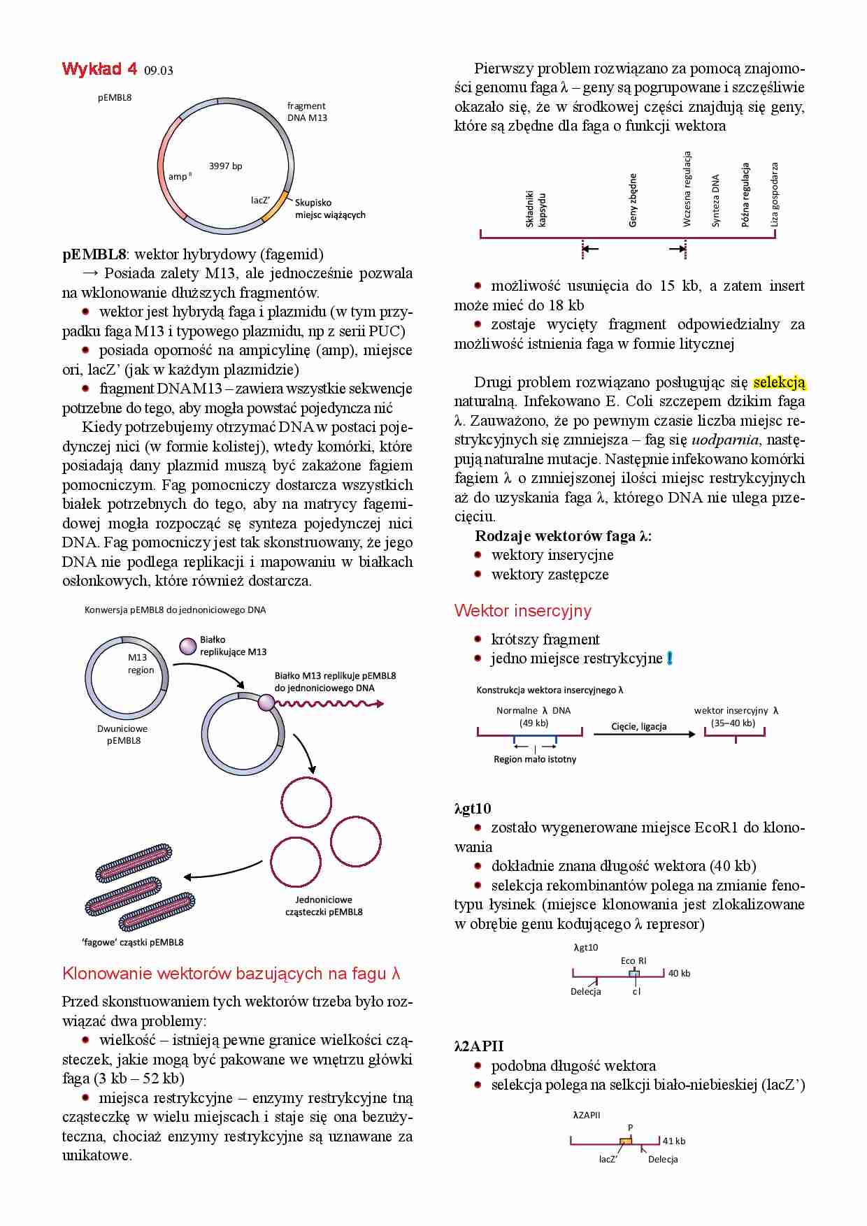Inżynieria genetyczna- wykład 4 - strona 1