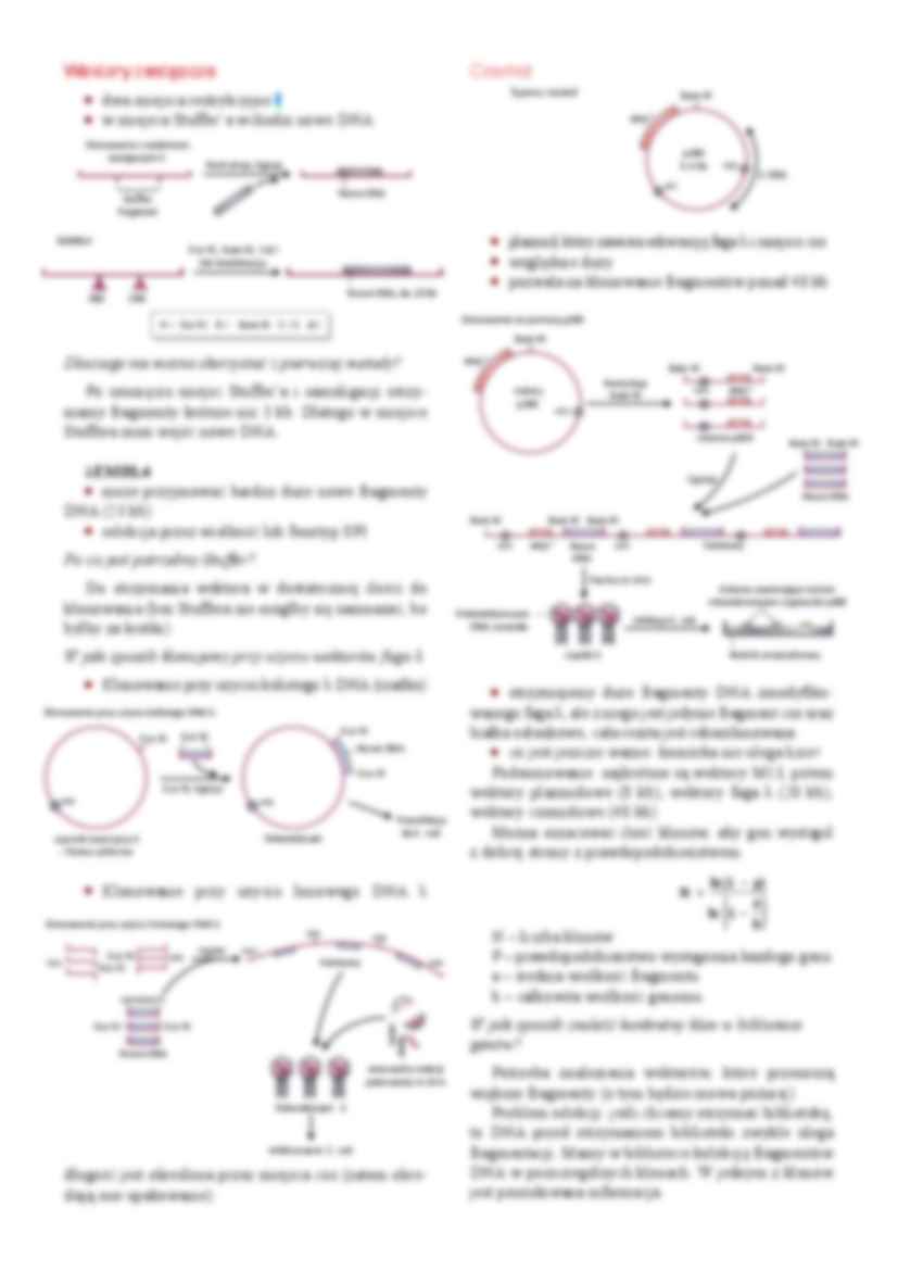 Inżynieria genetyczna- wykład 4 - strona 2