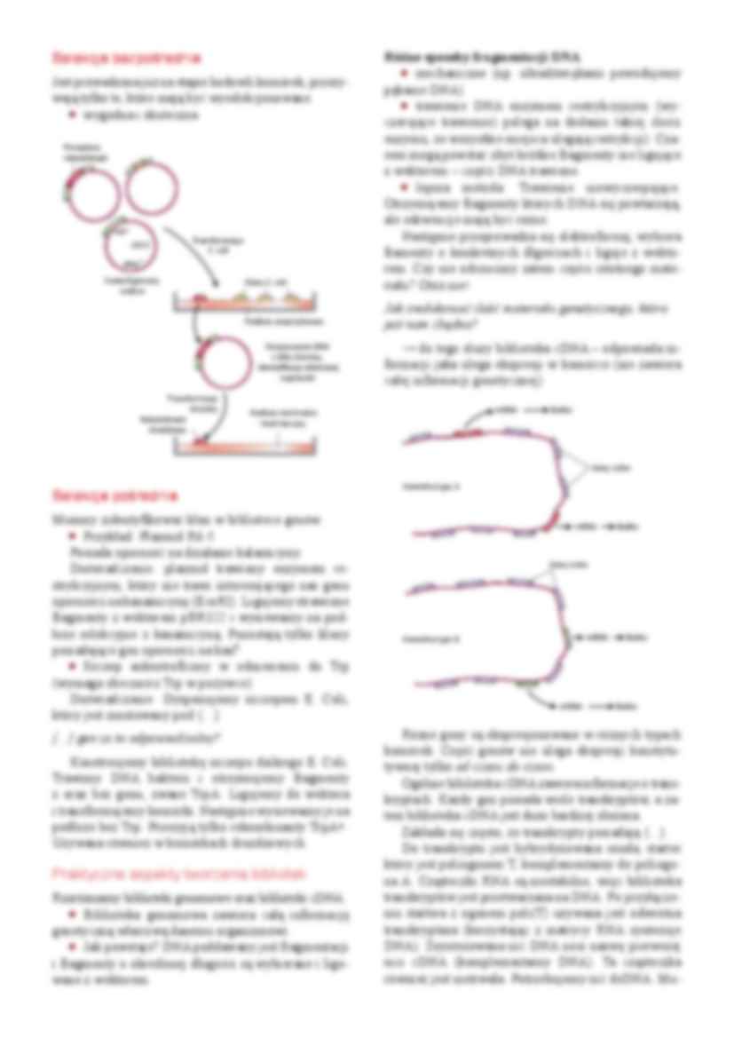 Inżynieria genetyczna- wykład 4 - strona 3