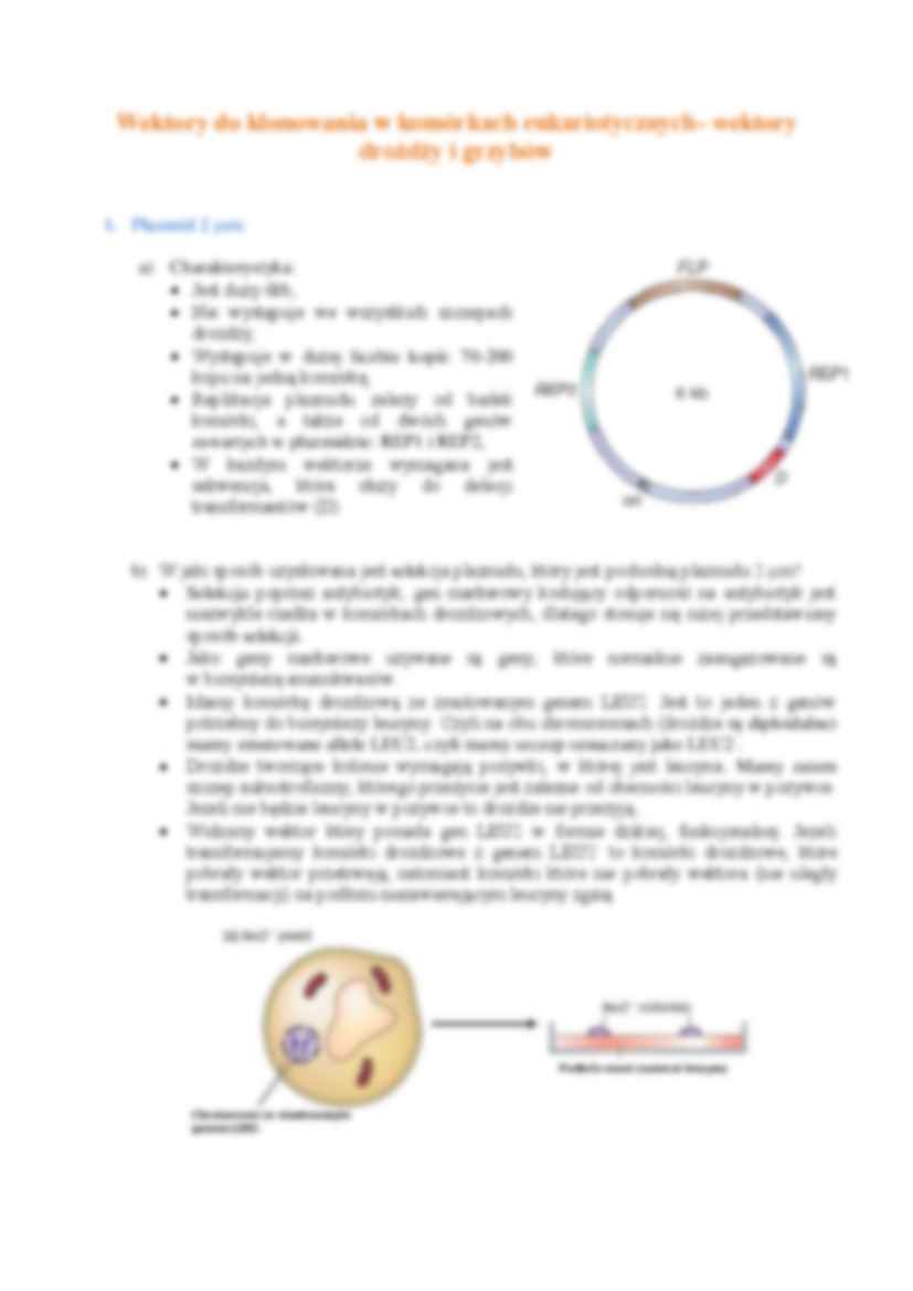 Inżynieria genetyczna- wykład 12 - strona 3