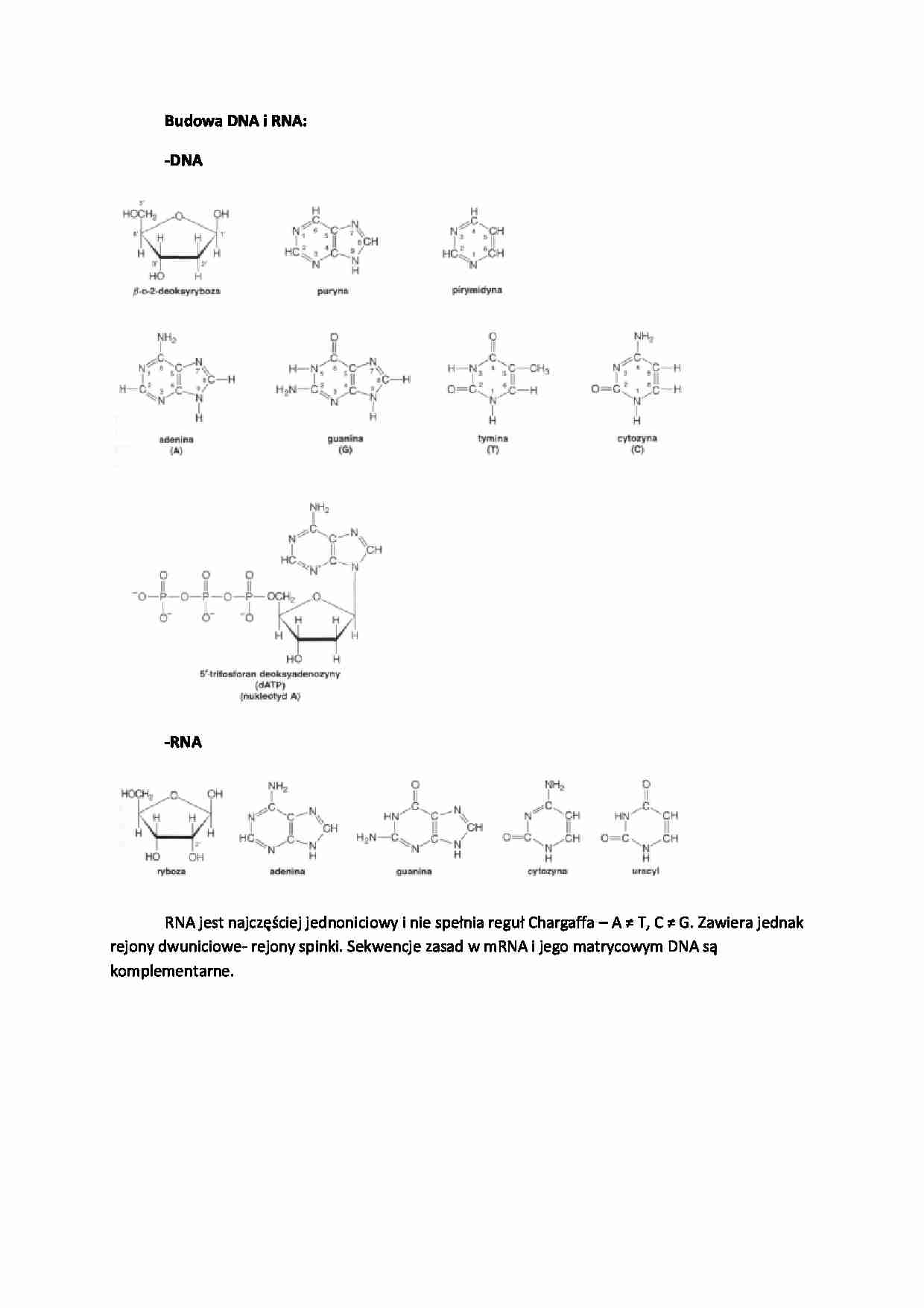 Biologia molekularna- opracowane zagadnienia - strona 1