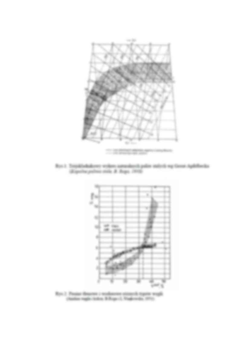 Analiza elementarna węgla- opracowanie - strona 3