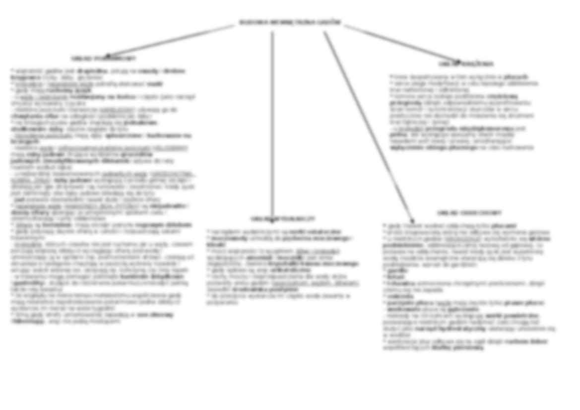 Podział systematów gadów - schemat - strona 3