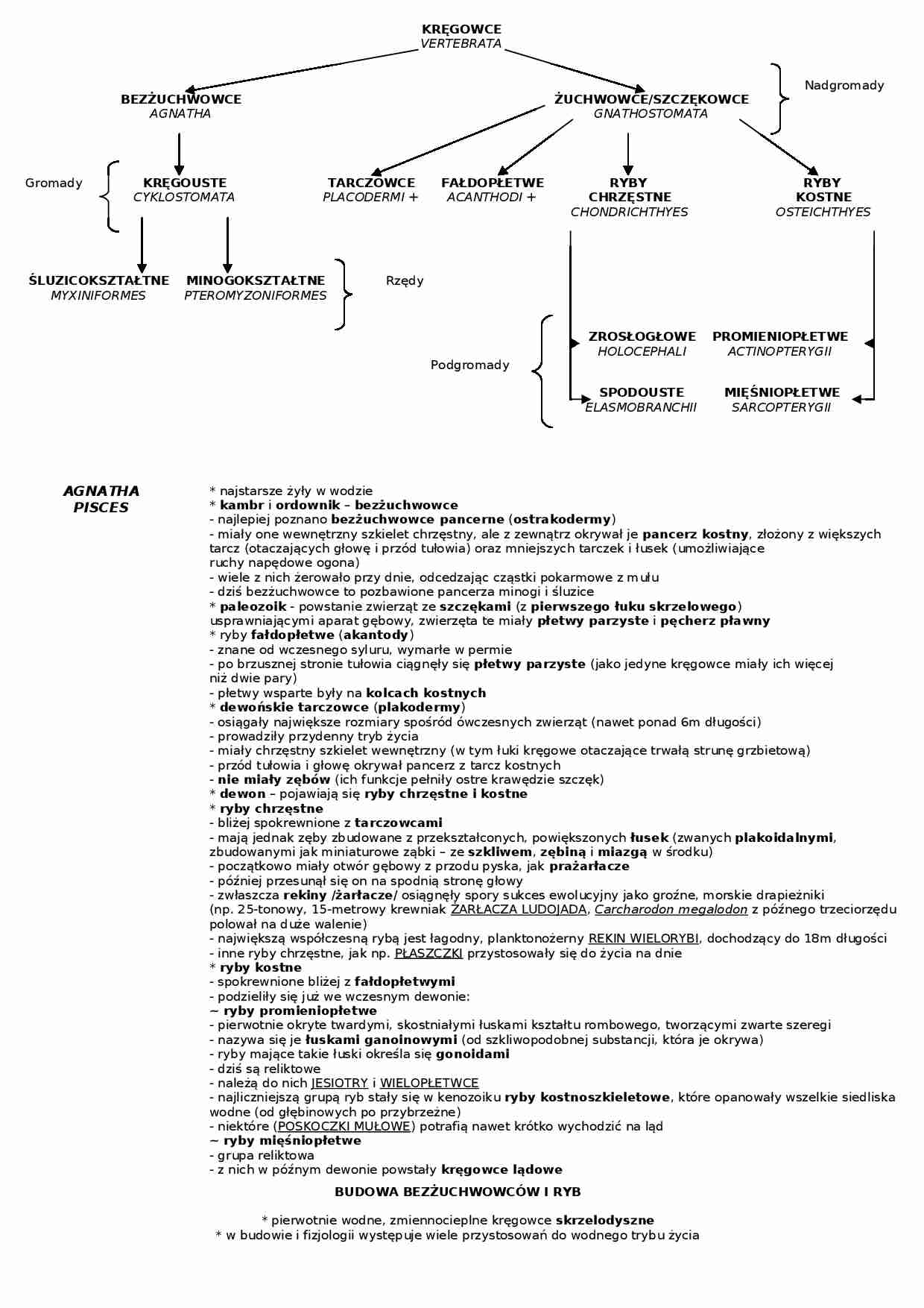 Bez uchowce i ryby - omówienie  - strona 1