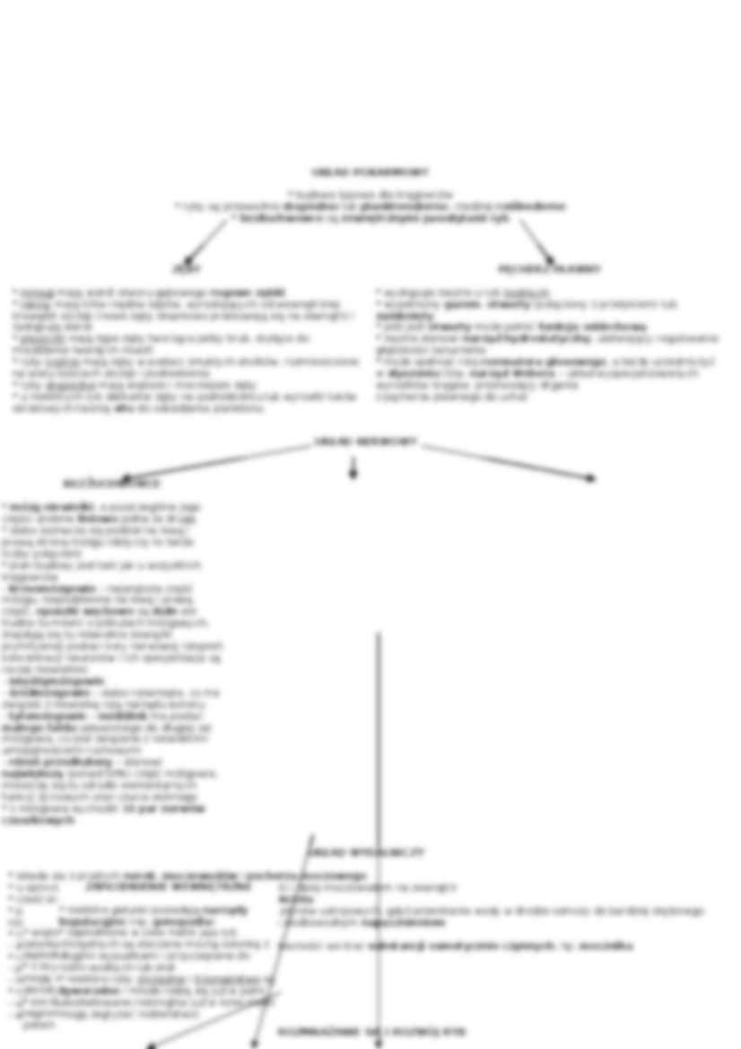 Bez uchowce i ryby - omówienie  - strona 3