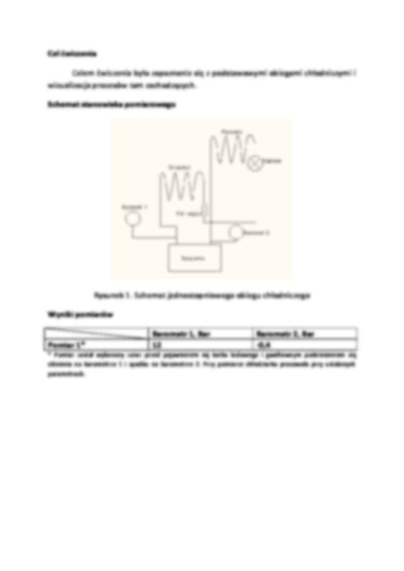 Wizualizacja działania sprężarkowych urządzeń chłodniczych-sprawozdanie - strona 2