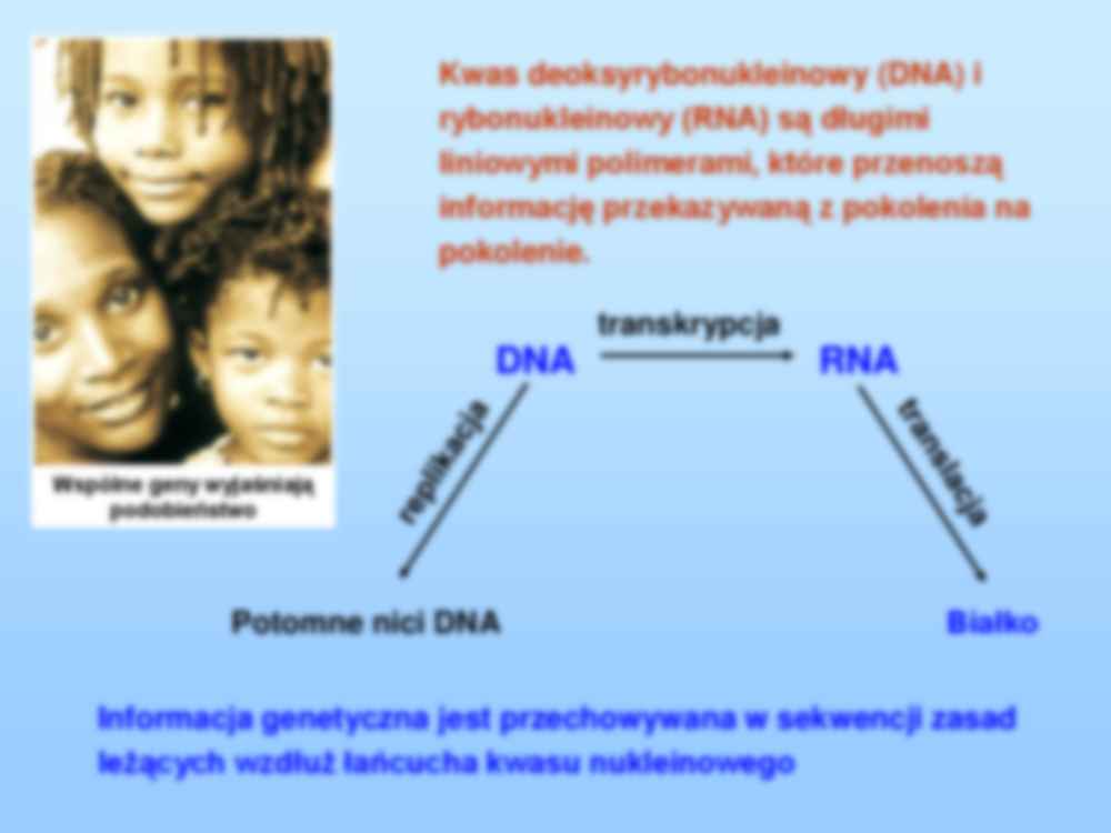 DNA, RNA i przepływ informacji genetycznej-wykład - strona 2