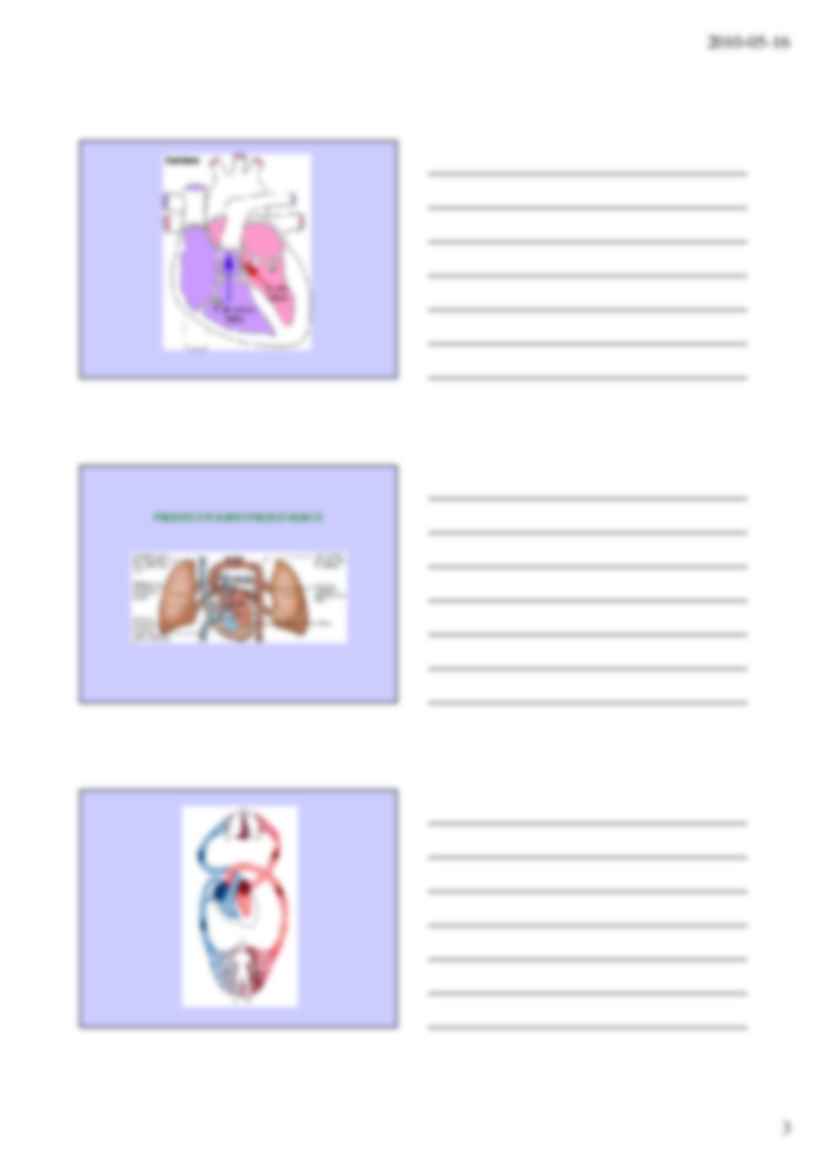 Serce, krwioobieg i wspomaganie pracy układu krążenia - strona 3