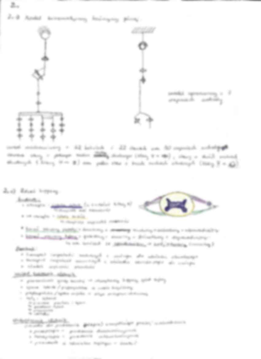 Notatki z wykładu z biomechaniki - strona 3