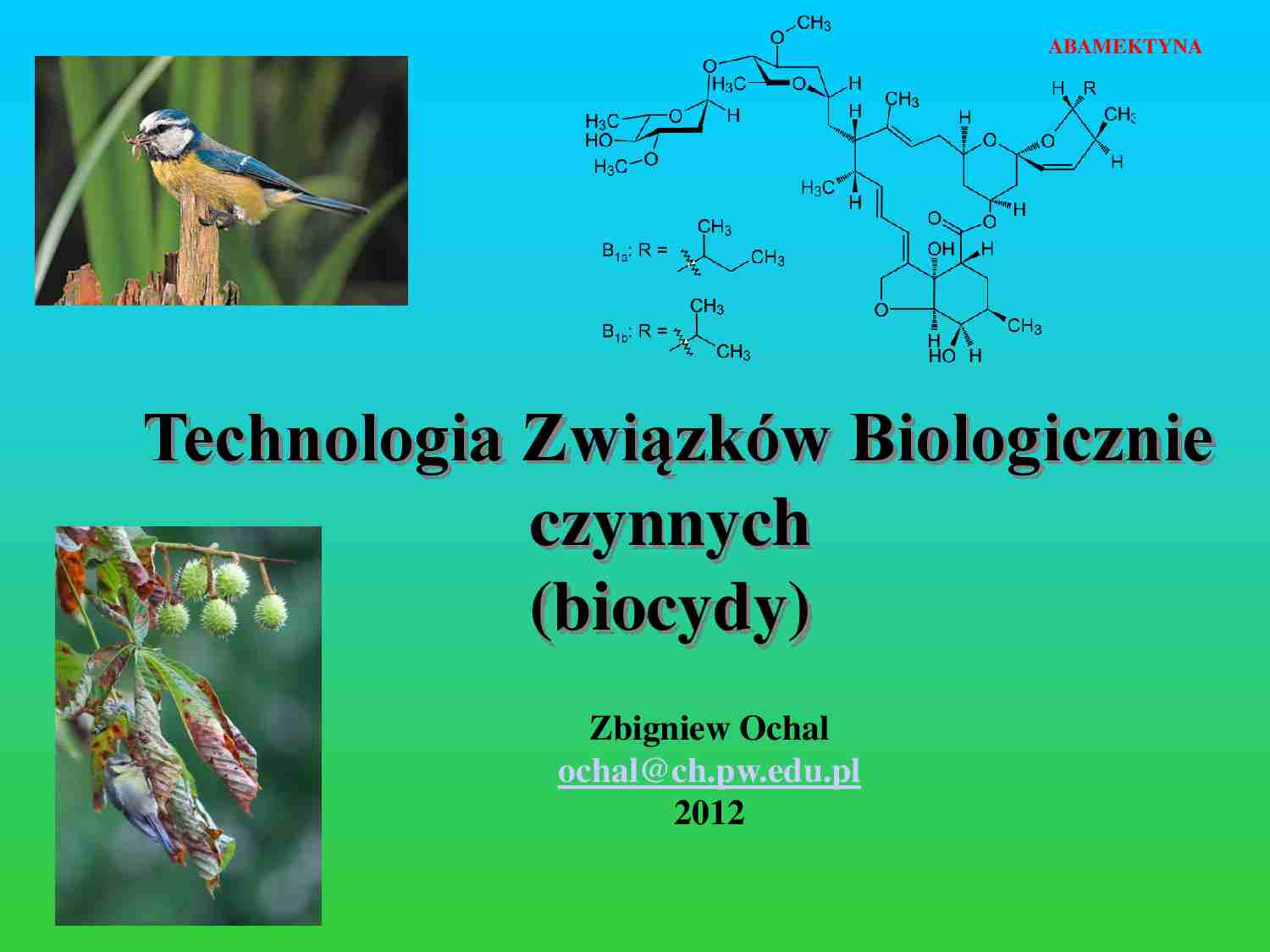 Technologia Związków Biologicznie czynnych- opracowanie - strona 1