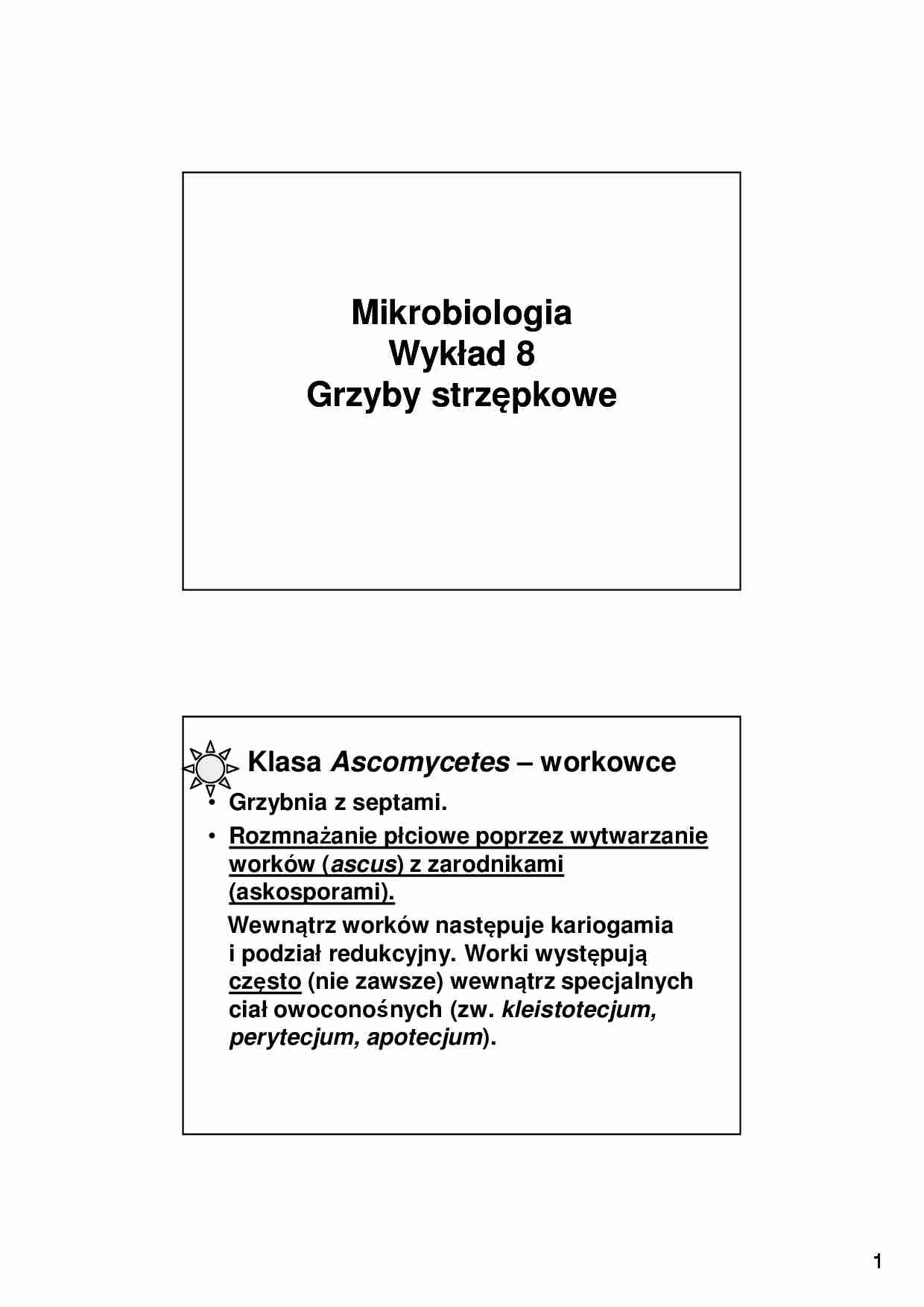 Mikrobiologia, grzyby strzępkowe- wykład 8 - strona 1