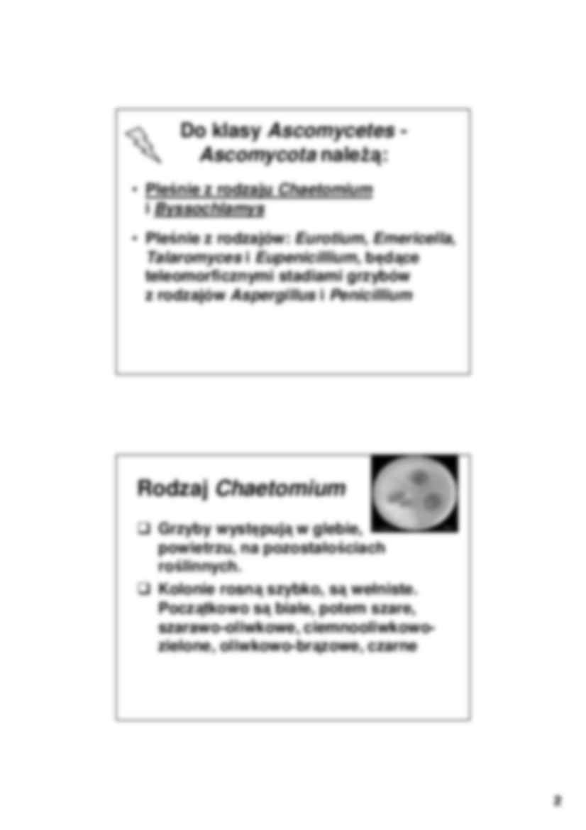 Mikrobiologia, grzyby strzępkowe- wykład 8 - strona 2