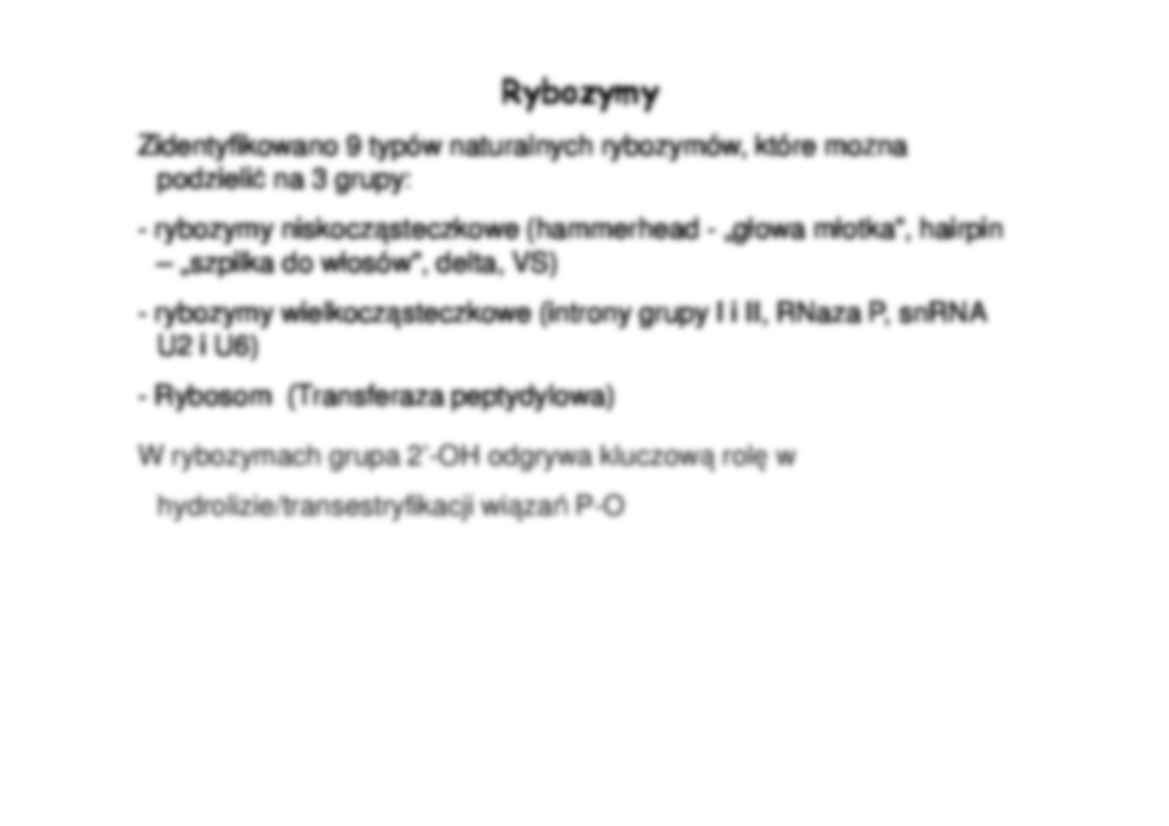 Enzymologia- opracowanie - strona 2