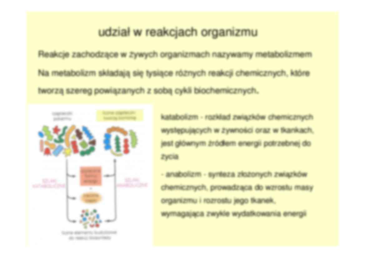 Enzymy- prezentacja - strona 3