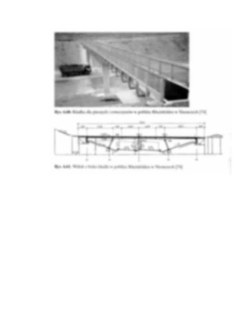 Mosty ramownicowe typu bloc glued - wykład - strona 3