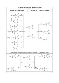 Reakcje chemiczne aminokwasów - opracowanie 
